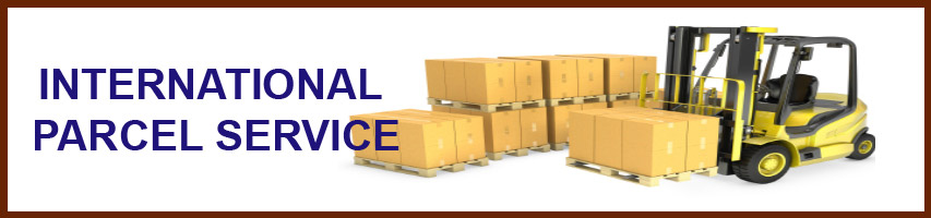 International Parcel Delivery Service Delhi NCR Courier Expert